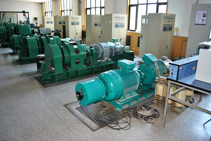YR6303-8某热电厂使用我厂的YKK高压电机提供动力