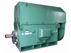 YR6303-8Y系列6KV高压电机