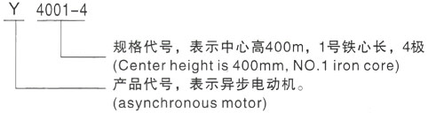 西安泰富西玛Y系列(H355-1000)高压YR6303-8三相异步电机型号说明